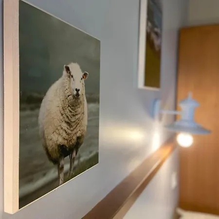 Argousiers 14, A Belle Dune * Fort-Mahon-Plage